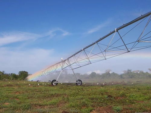 進(jìn)城買(mǎi)房補(bǔ)5萬(wàn)與征地補(bǔ)償政策下的機(jī)遇與挑戰(zhàn)