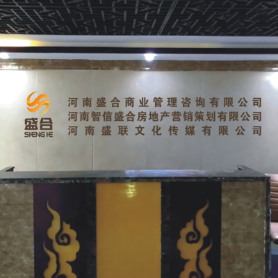 河南盛合商業(yè)管理咨詢 企業(yè)智囊，賦能商業(yè)新未來(lái)